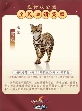以前的私服天龙八部